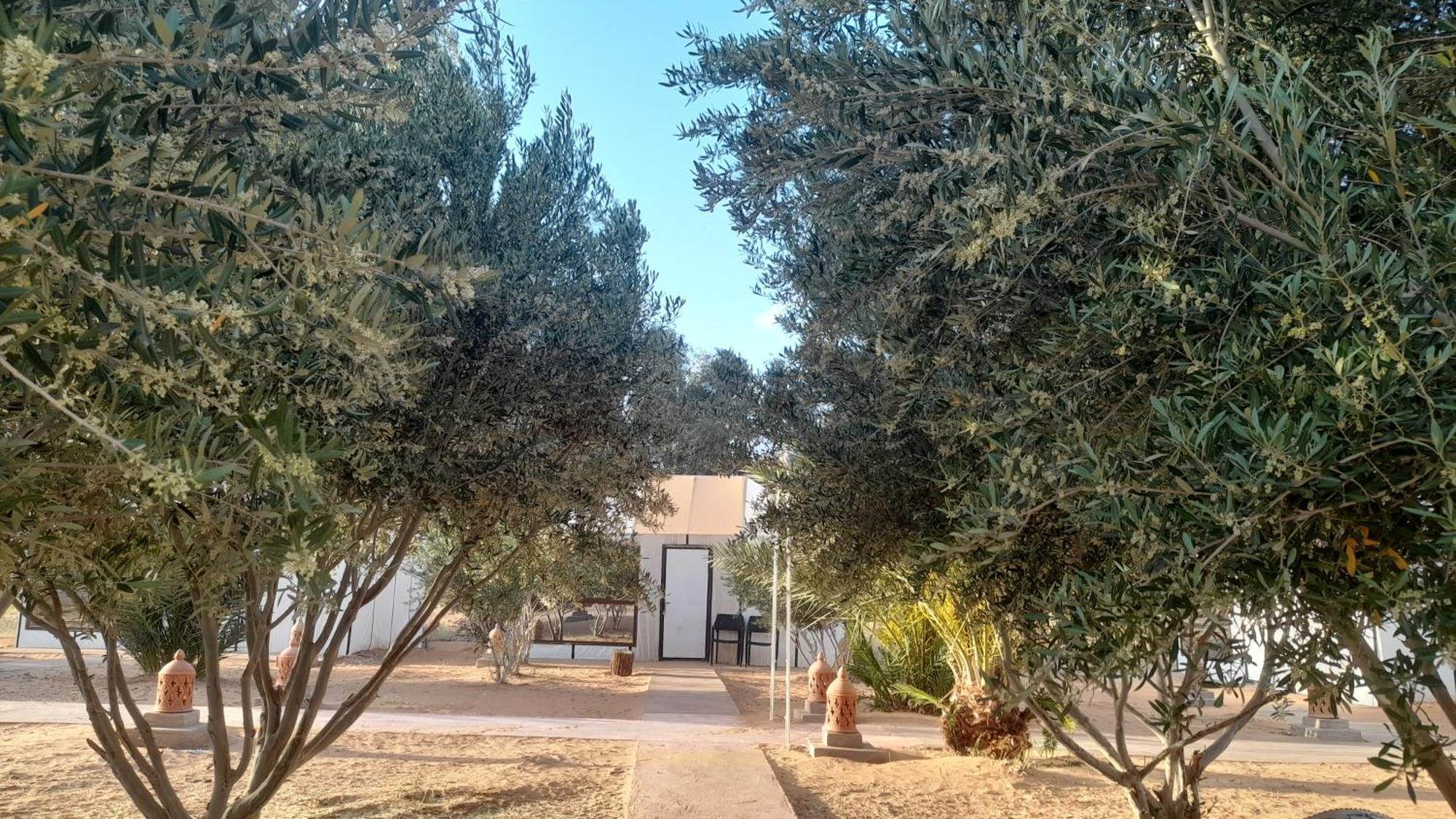 Trek Desert Morocco Sarl Taouz Exterior photo